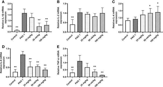 Figure 12