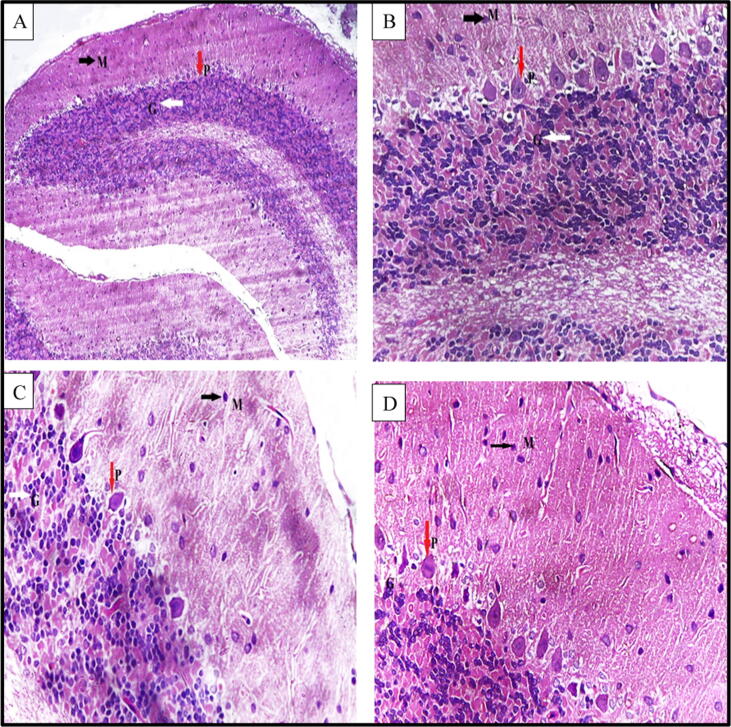 Fig. 7