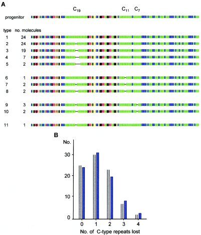 Figure  5