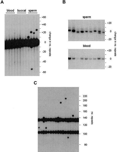 Figure  1