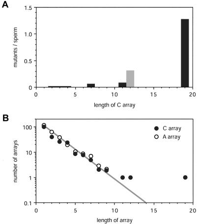 Figure  6