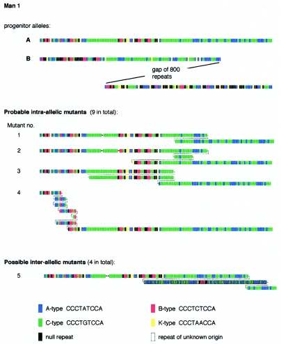 Figure  2