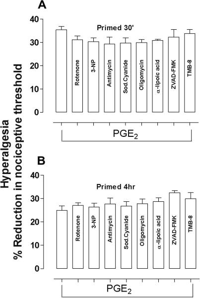 Figure. 3