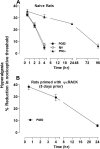 Figure. 1