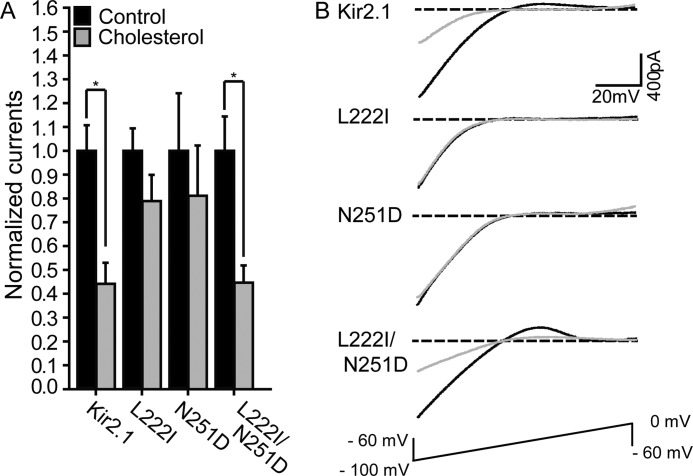 FIGURE 4.