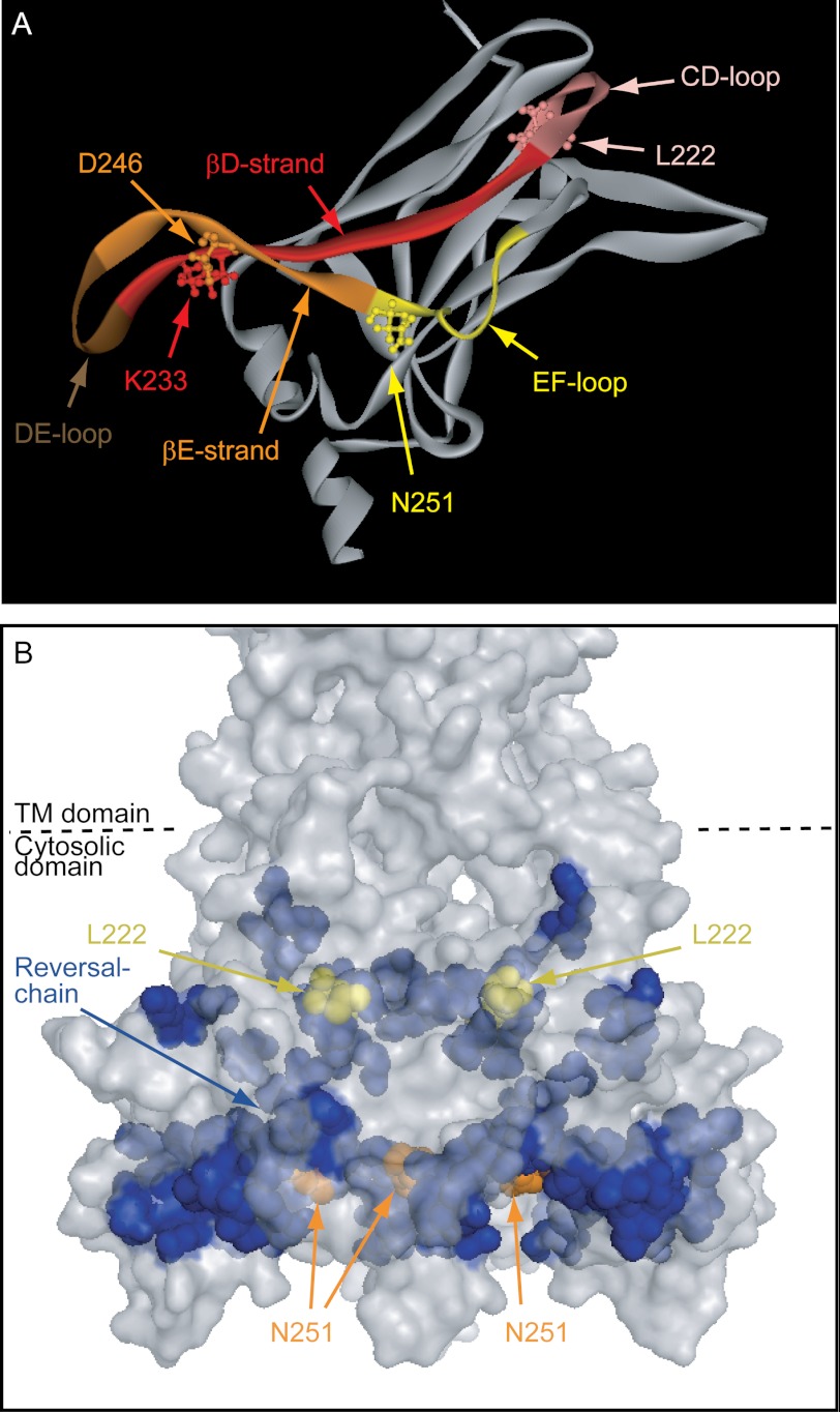 FIGURE 9.