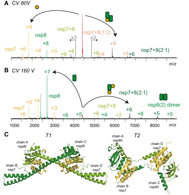 Figure 5.