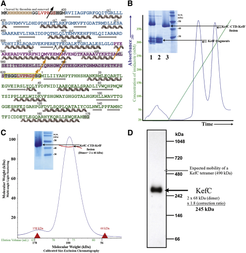 Figure 2