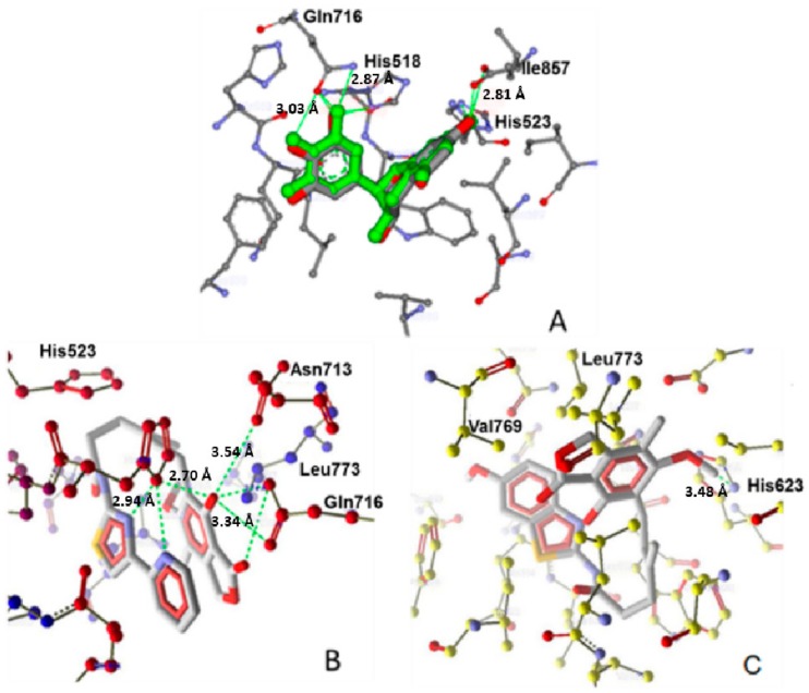 Figure 5