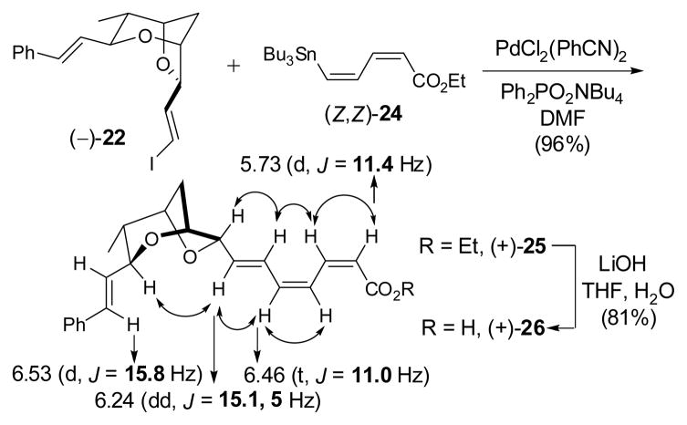 Scheme 5