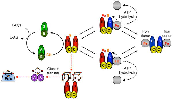 Scheme 1