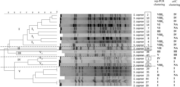 FIG 1