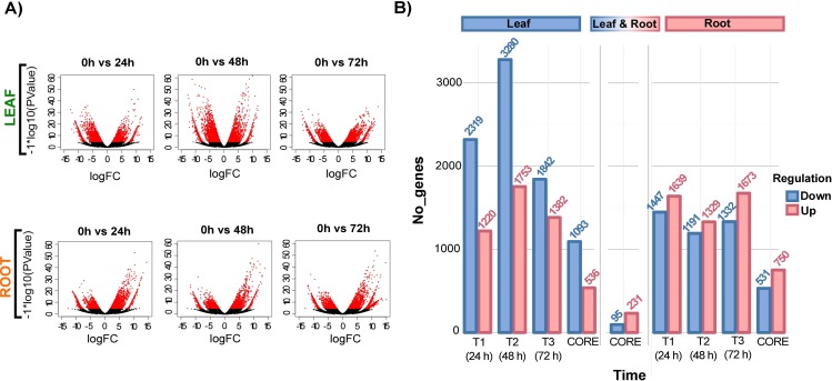 Fig 6