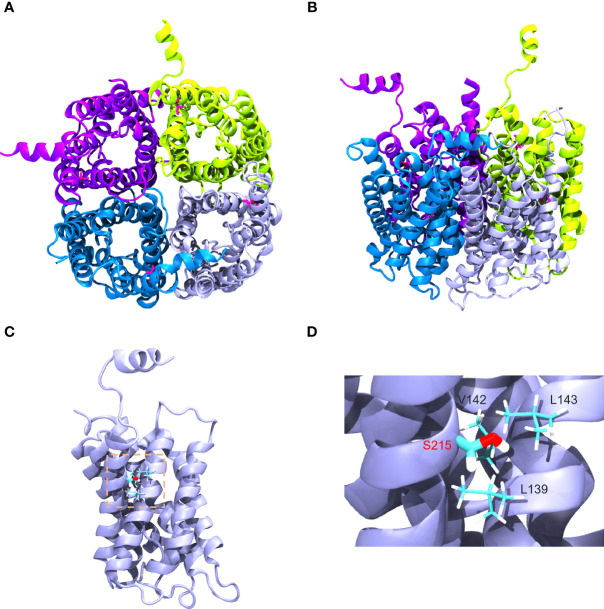 Figure 4