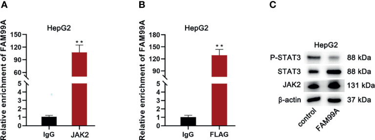 Figure 7