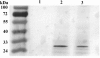 FIG. 3.