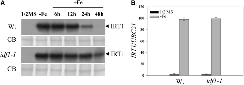 Figure 1.