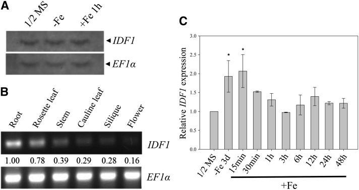 Figure 4.