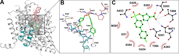 Figure 7.