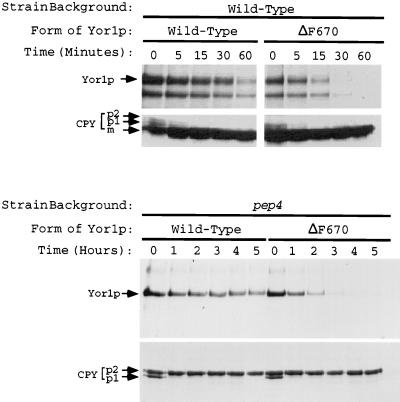 FIG. 7