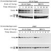 FIG. 7