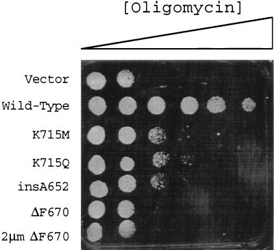 FIG. 4