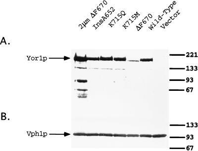 FIG. 5