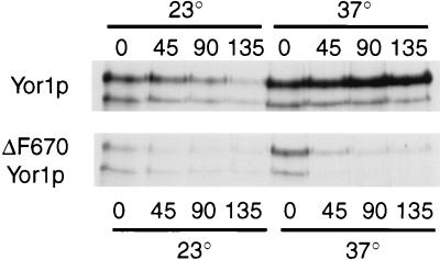 FIG. 9