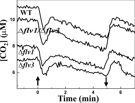 FIGURE 2.