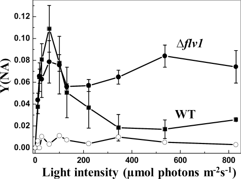 FIGURE 1.