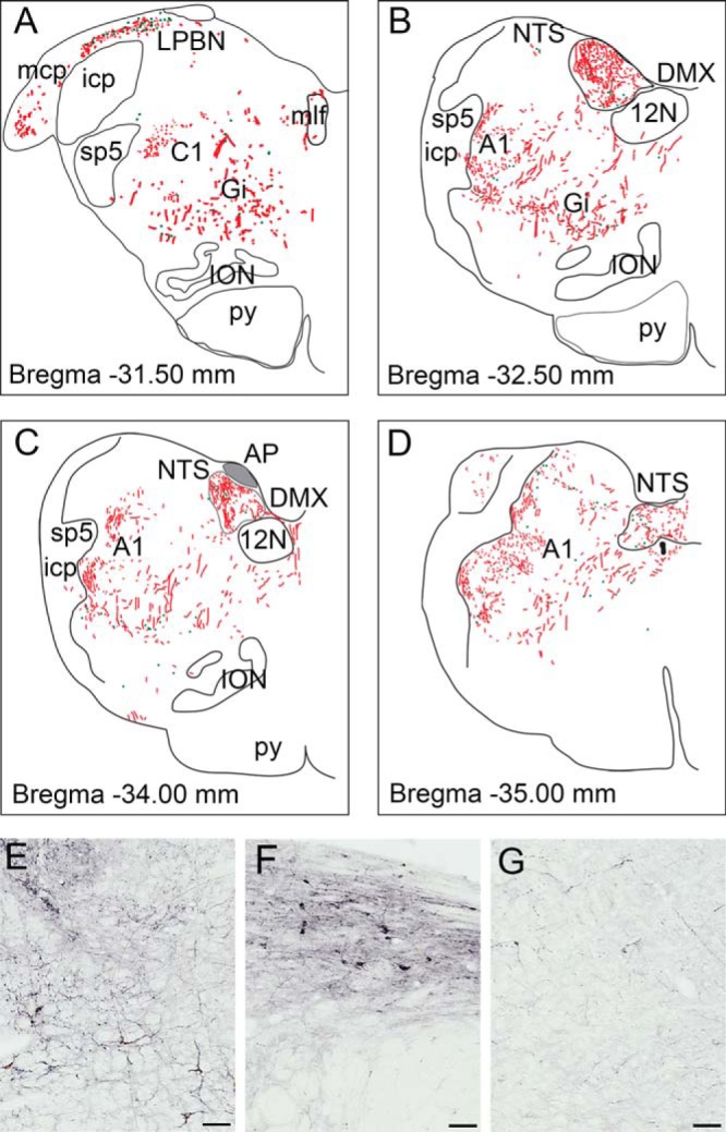 Figure 7.