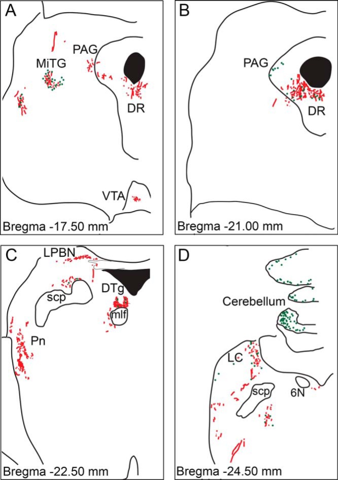 Figure 5.