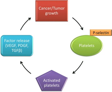 Fig. 3