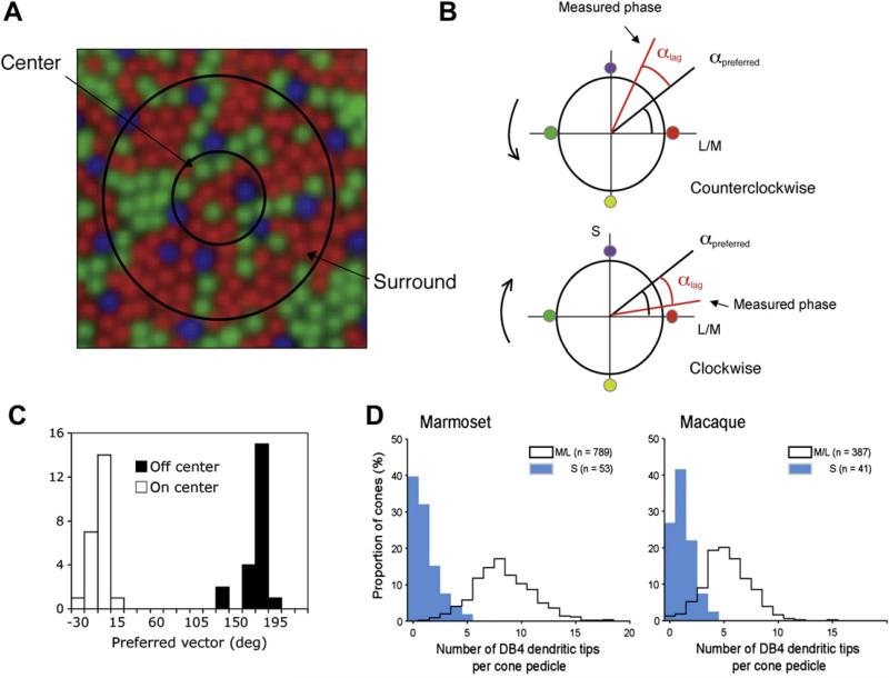 Fig. 4