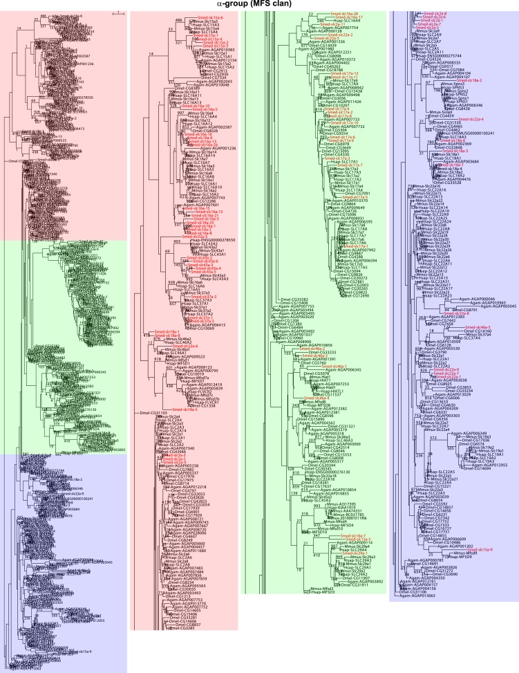 Figure 2—figure supplement 3.