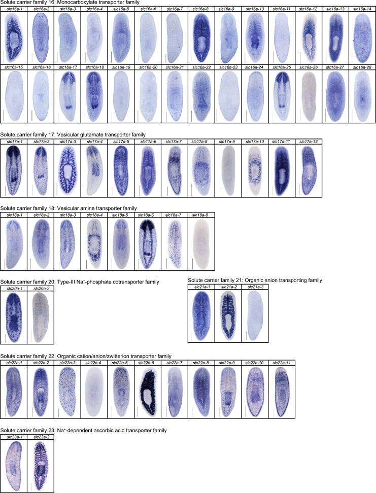 Figure 2—figure supplement 10.