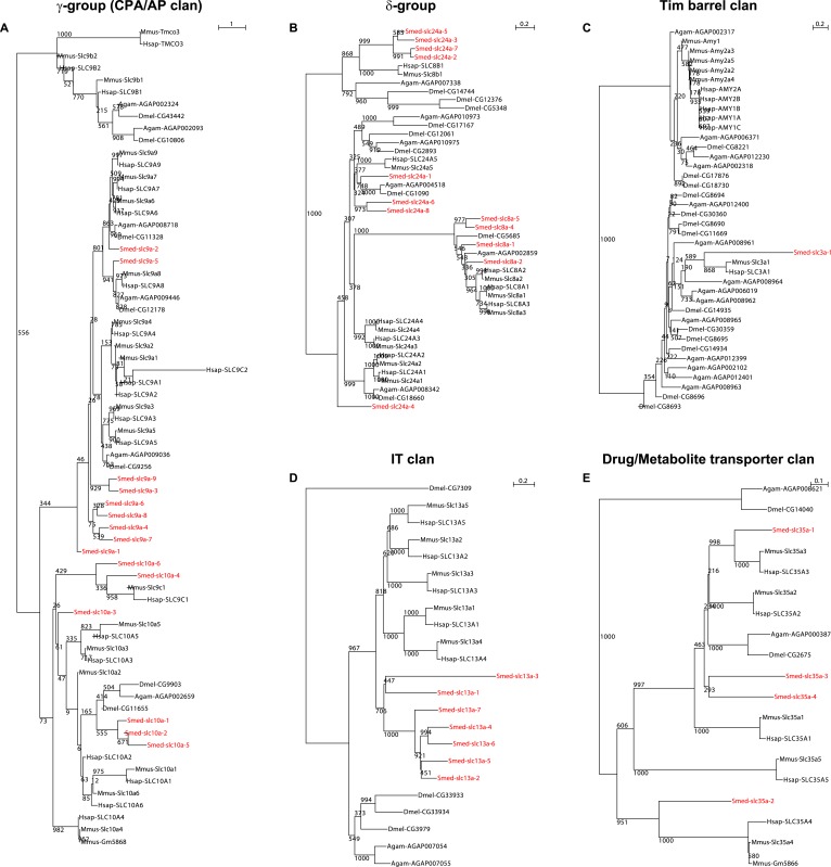 Figure 2—figure supplement 2.