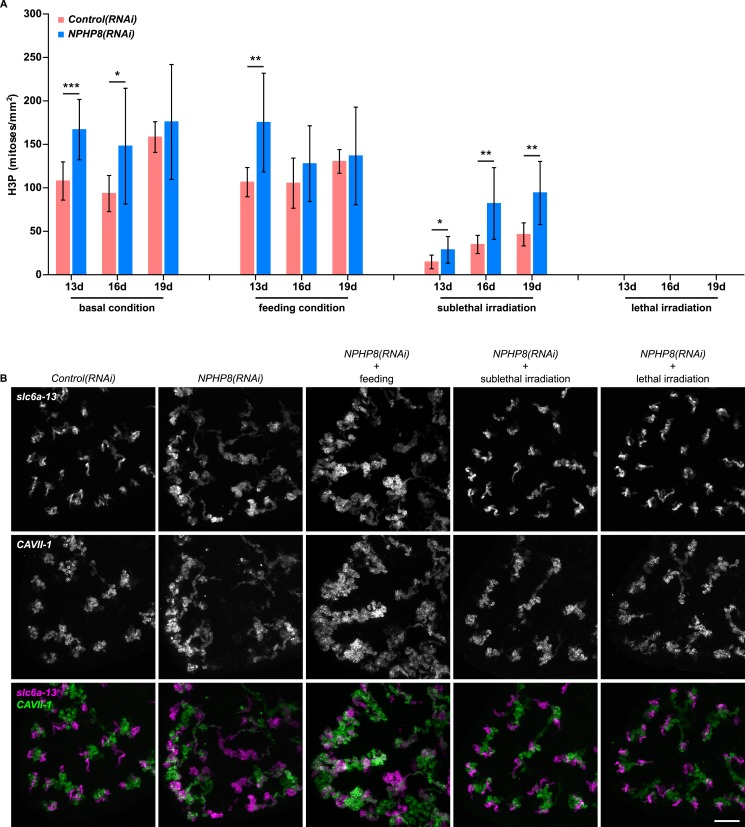 Figure 6—figure supplement 3.