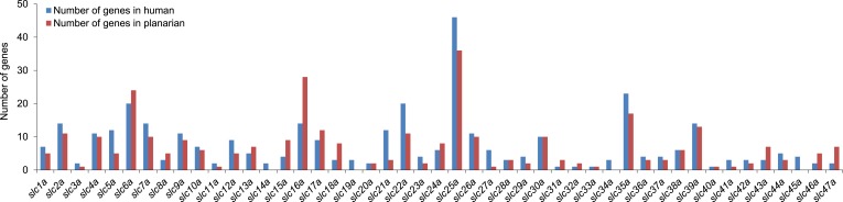 Figure 2—figure supplement 1.