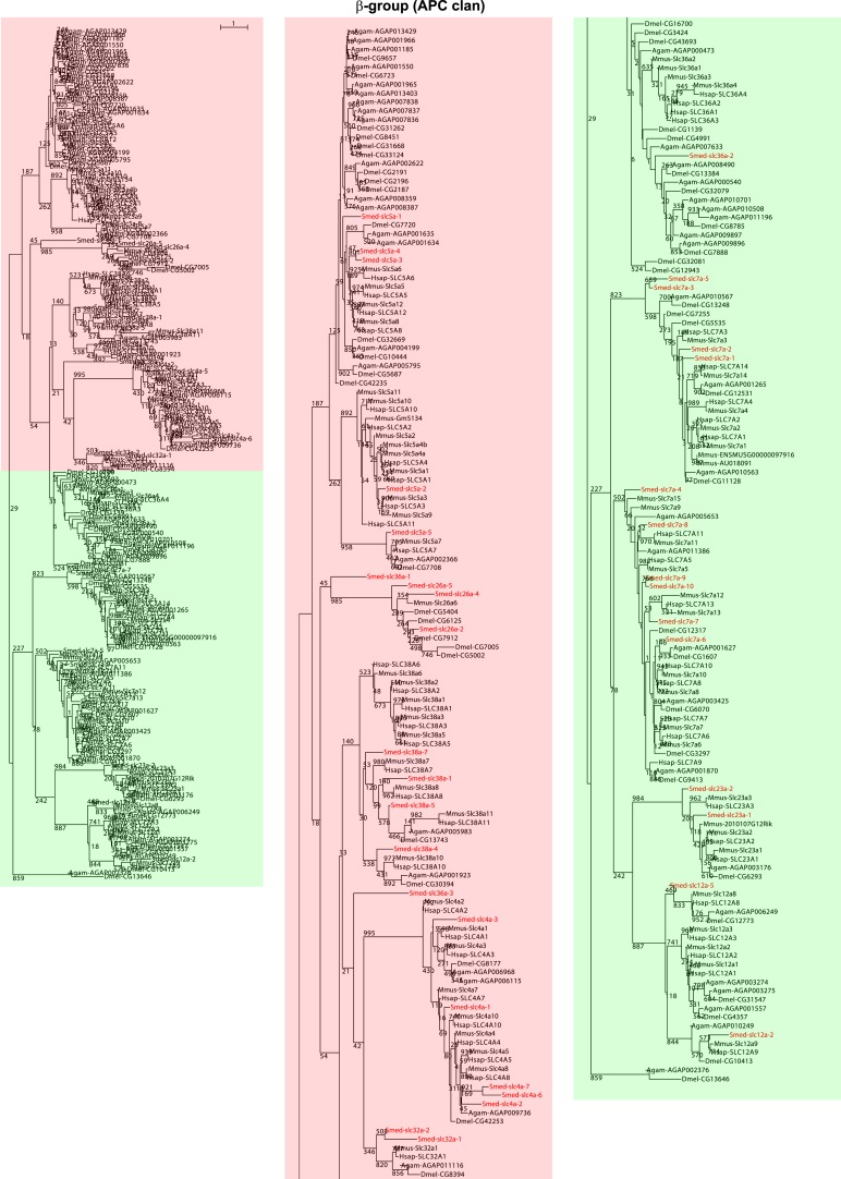 Figure 2—figure supplement 4.