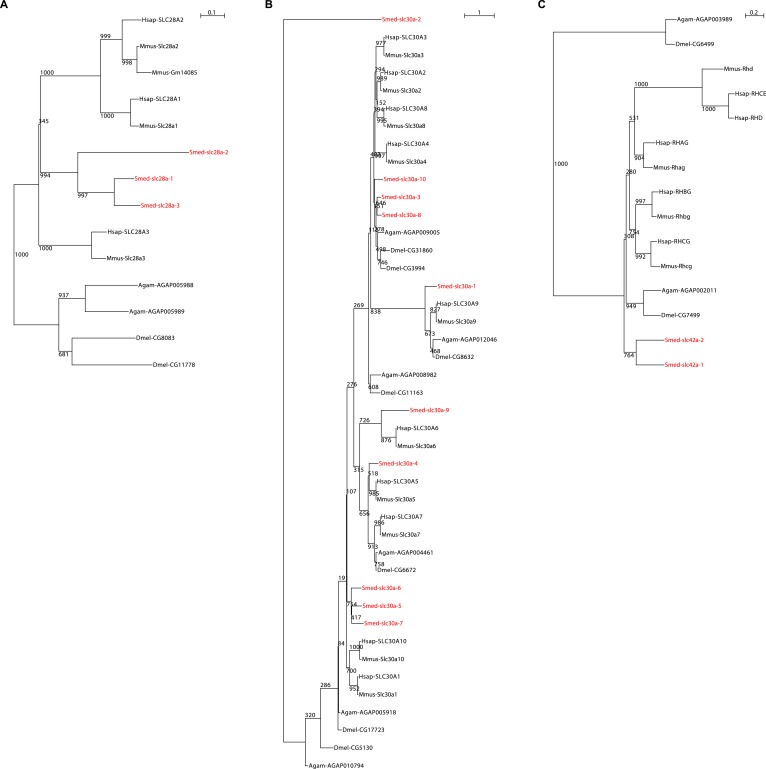 Figure 2—figure supplement 7.