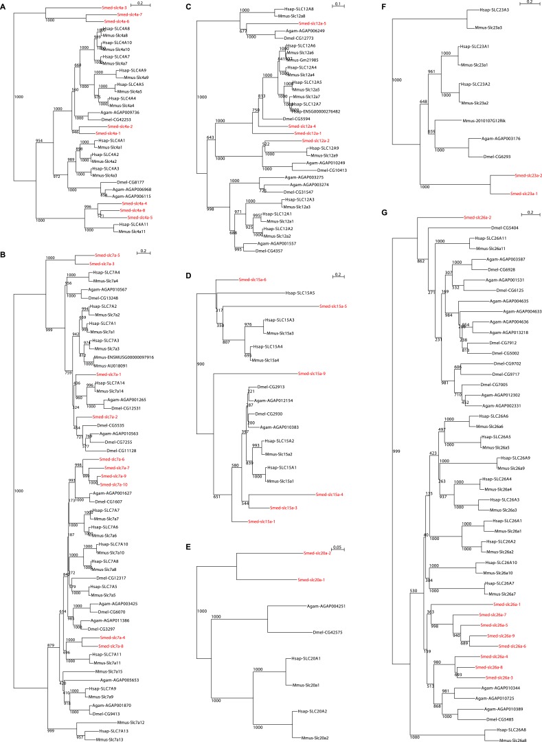 Figure 2—figure supplement 6.