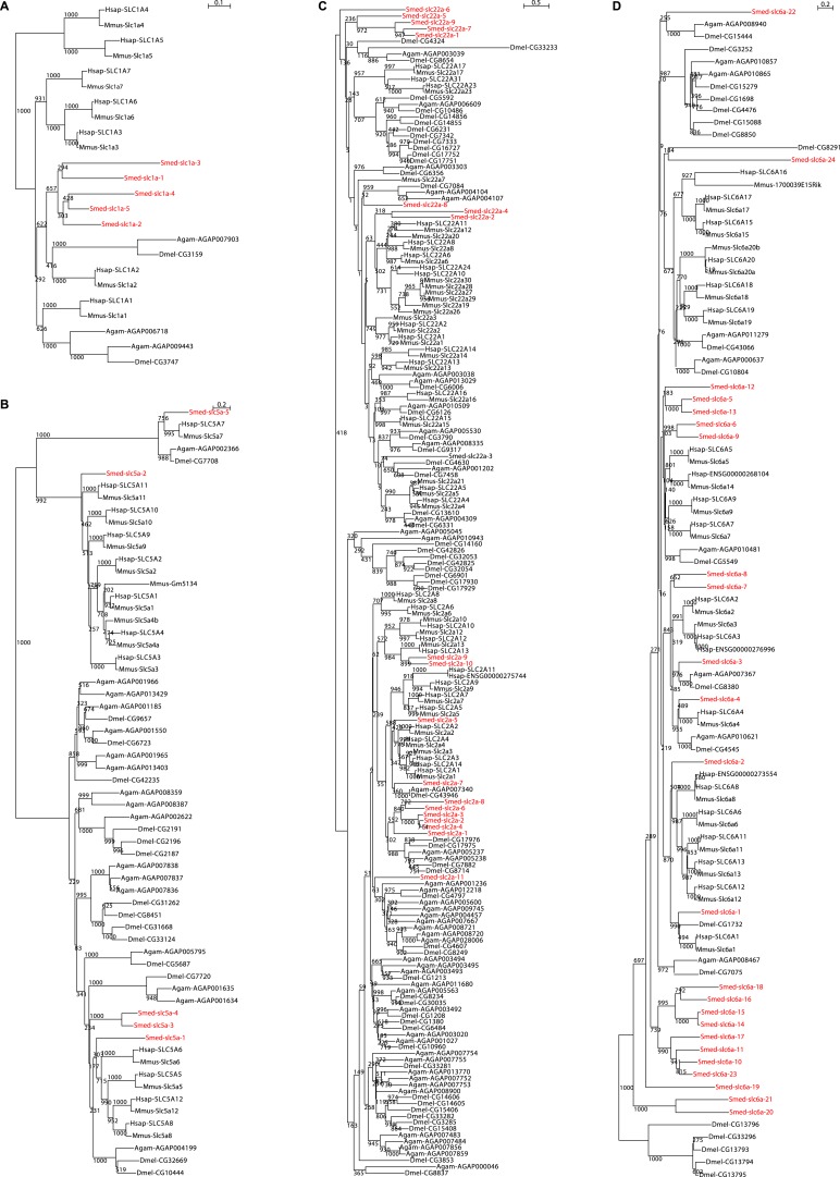 Figure 2—figure supplement 5.