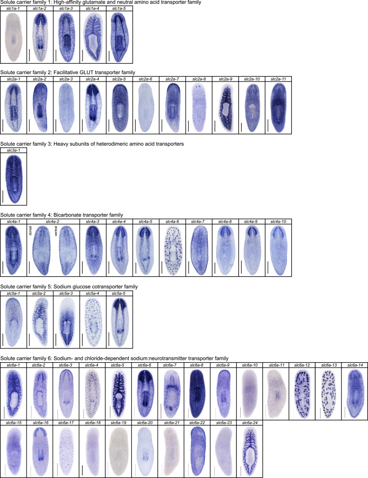 Figure 2—figure supplement 8.