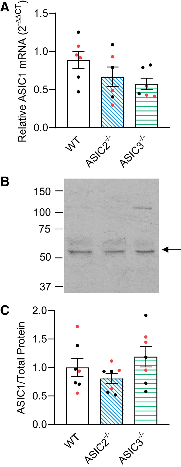 Fig. 10.