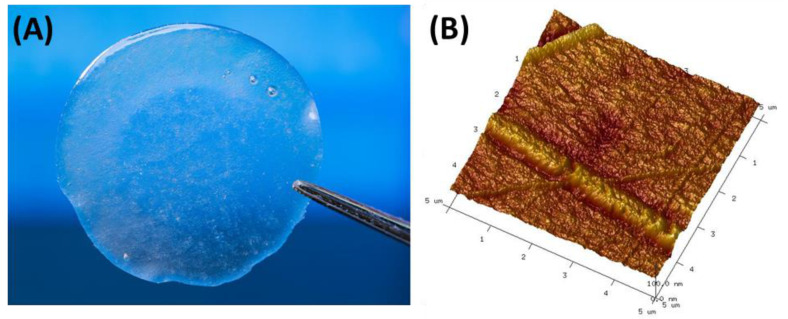 Figure 7