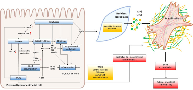 Figure 2