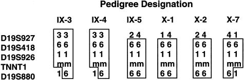 Figure  2