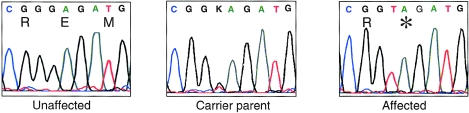 Figure  4