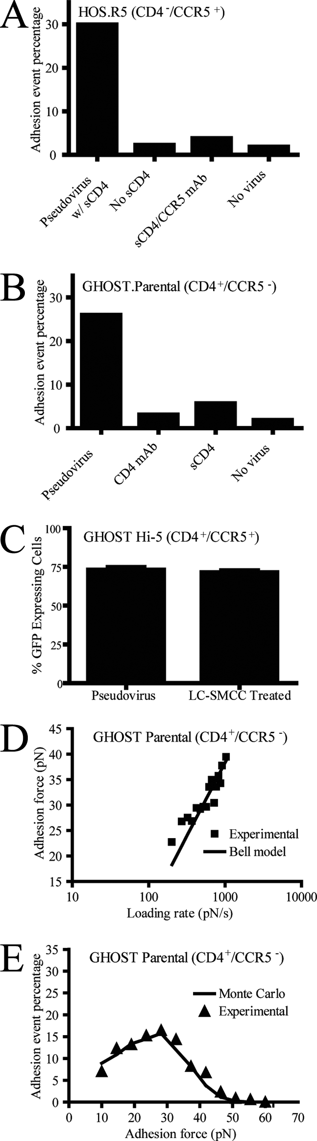 FIG. 2.